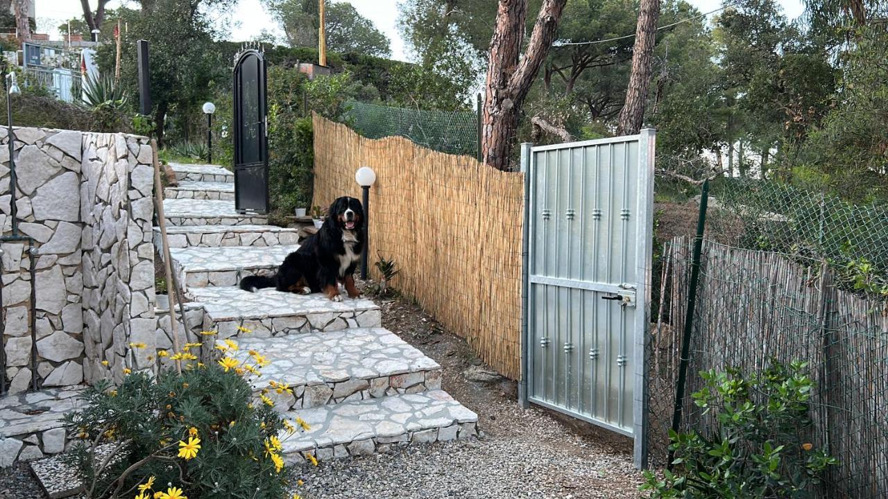 Suosogno Sul Mare 200Metri Dalla Spiaggia Каполивери Екстериор снимка